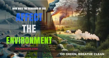 Gas Behavior's Environmental Impact: Understanding Atmospheric Changes and Consequences