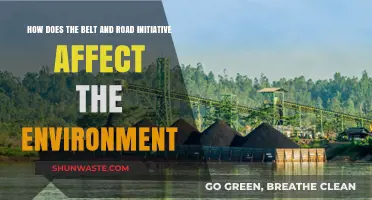 Environmental Impact of China's Belt and Road Initiative: Challenges and Solutions