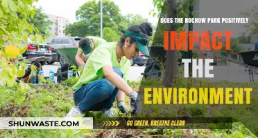 Bochow Park's Green Legacy: Environmental Benefits and Sustainability Impact