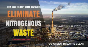 Understanding Nitrogen Waste: Body Breakdown and Elimination Processes Explained