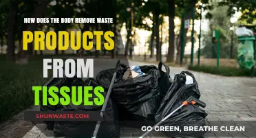Efficient Waste Removal: How the Body Cleanses Tissues Naturally