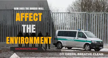 Border Wall's Environmental Impact: Ecosystems, Wildlife, and Habitat Destruction