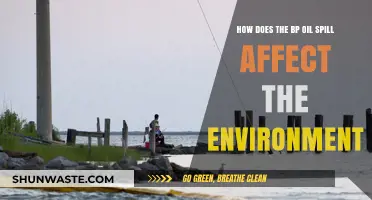 BP Oil Spill's Devastating Environmental Impact: A Comprehensive Analysis