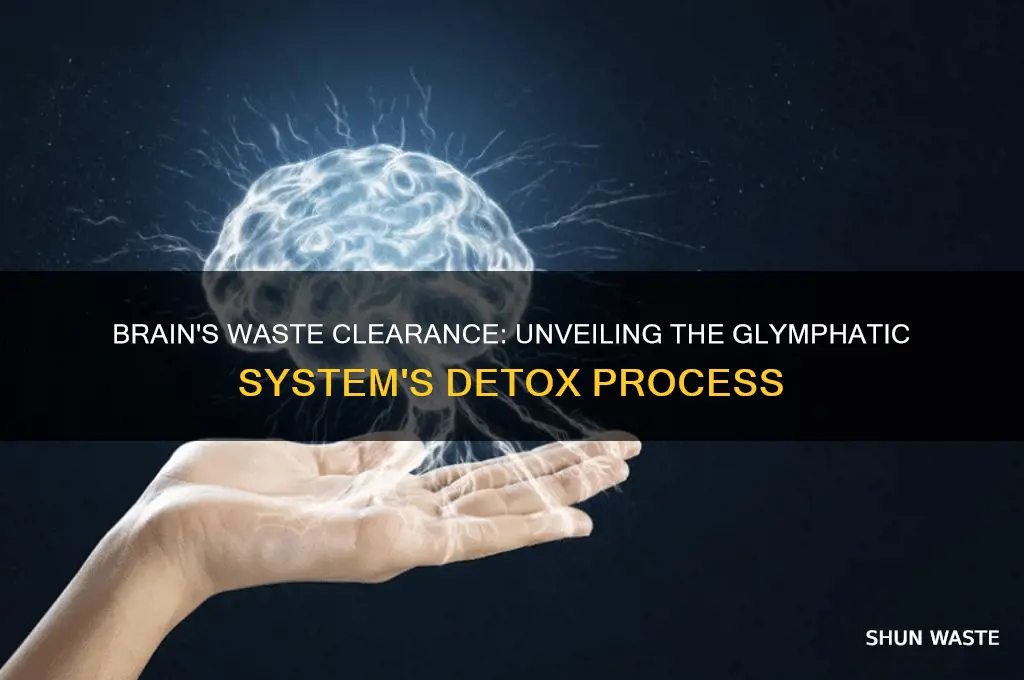 how does the brain get rid of waste