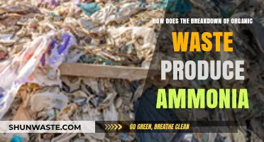 Organic Waste Breakdown: Ammonia Production Process Explained Simply