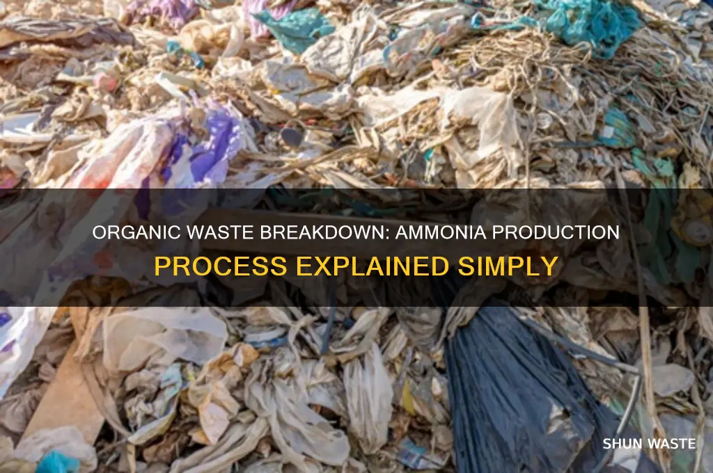 how does the breakdown of organic waste produce ammonia