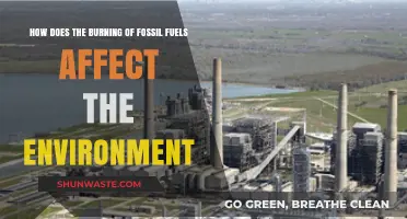 Fossil Fuel Combustion: Environmental Impacts and Global Consequences Explained