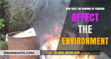 Burning Garbage: Unseen Environmental Impacts and Sustainable Alternatives