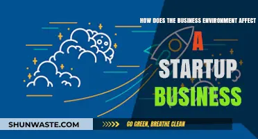 Navigating Startup Success: Impact of the Business Environment on New Ventures