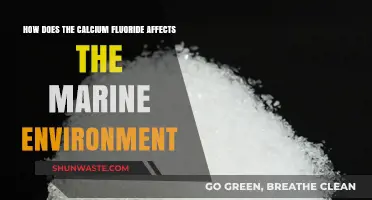 Calcium Fluoride's Impact on Marine Ecosystems: Risks and Consequences