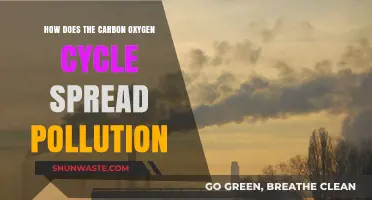 Carbon-Oxygen Cycle: Spreading Pollution's Reach