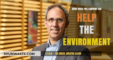 Carbon Tax: A Powerful Tool for Environmental Protection and Sustainability
