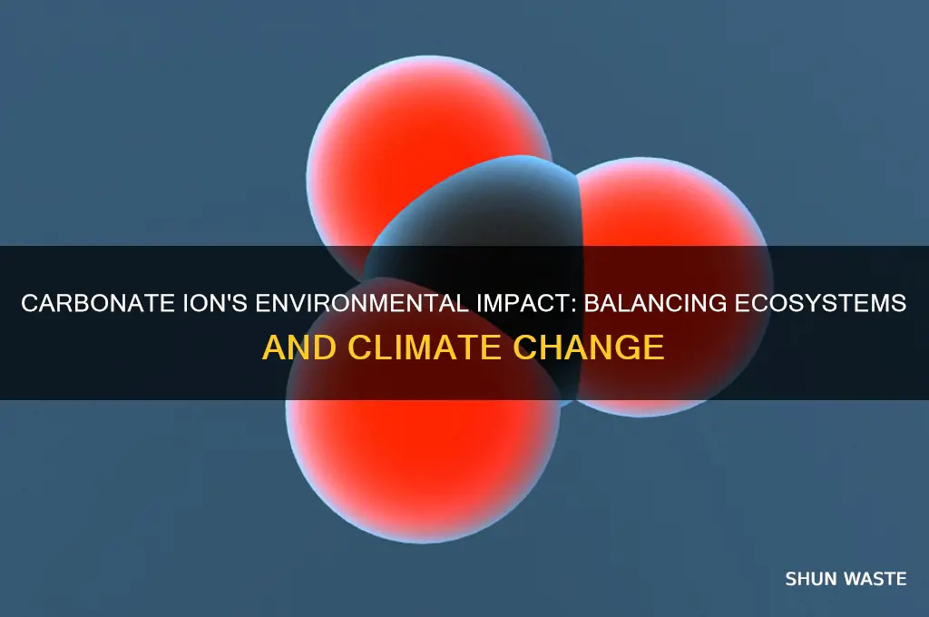 how does the carbonate ion affect the environment