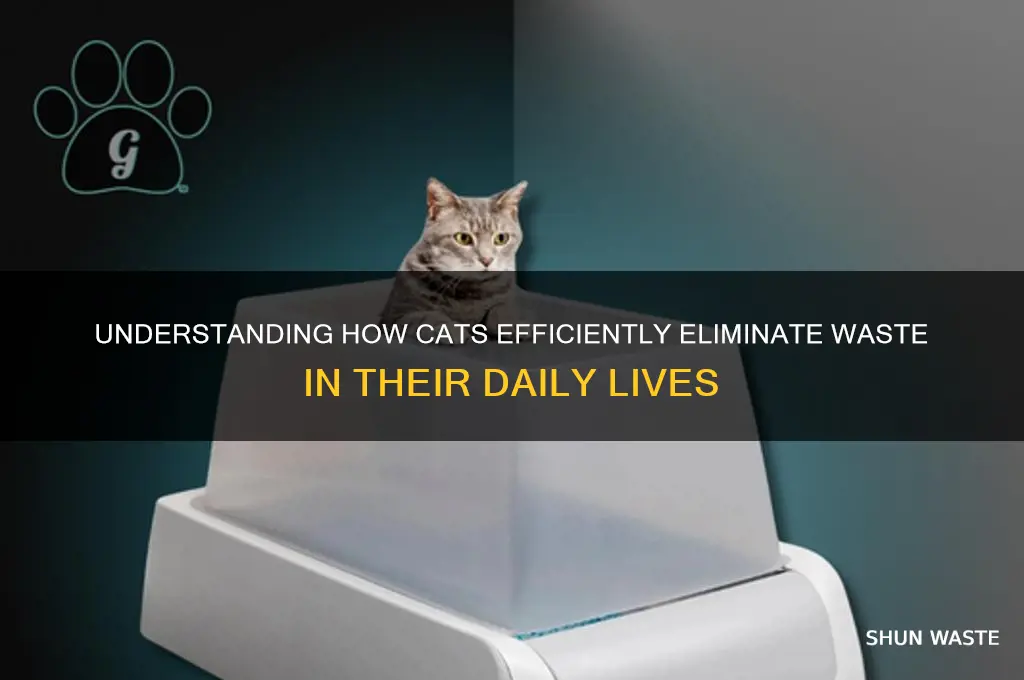 how does the cats get rid of waste