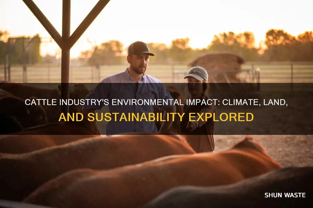 how does the cattle industry affect the environment