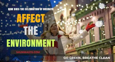 Holiday Celebrations: Environmental Impact and Sustainable Alternatives Explored