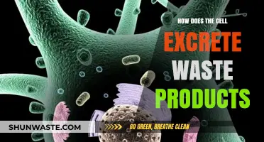 Cellular Waste Disposal: Understanding How Cells Excrete Toxins and Byproducts