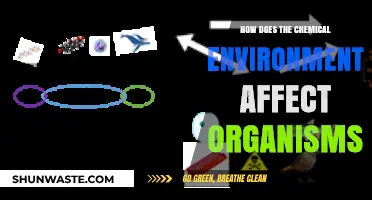 Chemical Environments: Shaping Organisms' Survival, Adaptation, and Evolution
