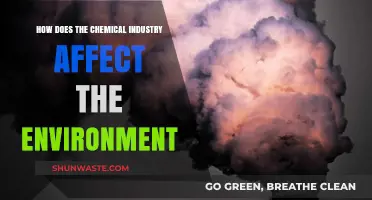 Chemical Industry's Environmental Impact: Pollution, Sustainability, and Solutions Explored