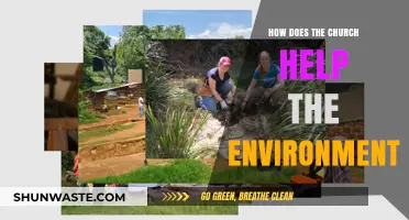 Church and Creation Care: Environmental Stewardship in Christian Communities