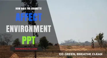Cigarette's Environmental Impact: Pollution, Waste, and Ecosystem Destruction Explained
