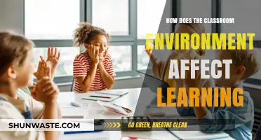 Classroom Environment's Impact: Shaping Learning Outcomes and Student Engagement