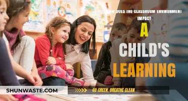 Classroom Environment: Shaping Young Minds and Learning Outcomes