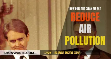 Clean Air Act: Reducing Pollution, Saving Lives