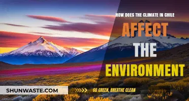 Chile's Climate Impact: Shaping Ecosystems and Environmental Challenges