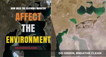 The Environmental Impact of the Clothing Industry: A Deep Dive