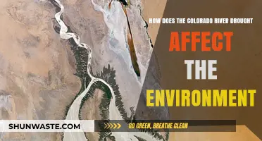 Colorado River Drought: Environmental Impacts and Ecosystem Consequences Explored
