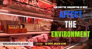 Meat Consumption's Environmental Impact: A Comprehensive Analysis and Solutions