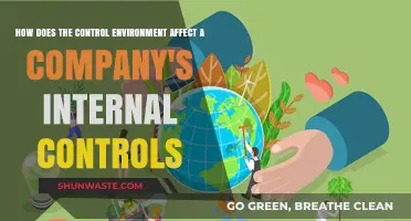 Control Environment's Impact: Shaping Robust Internal Controls in Organizations
