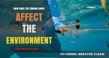 COVID-19's Environmental Impact: Positive Changes and Long-Term Effects