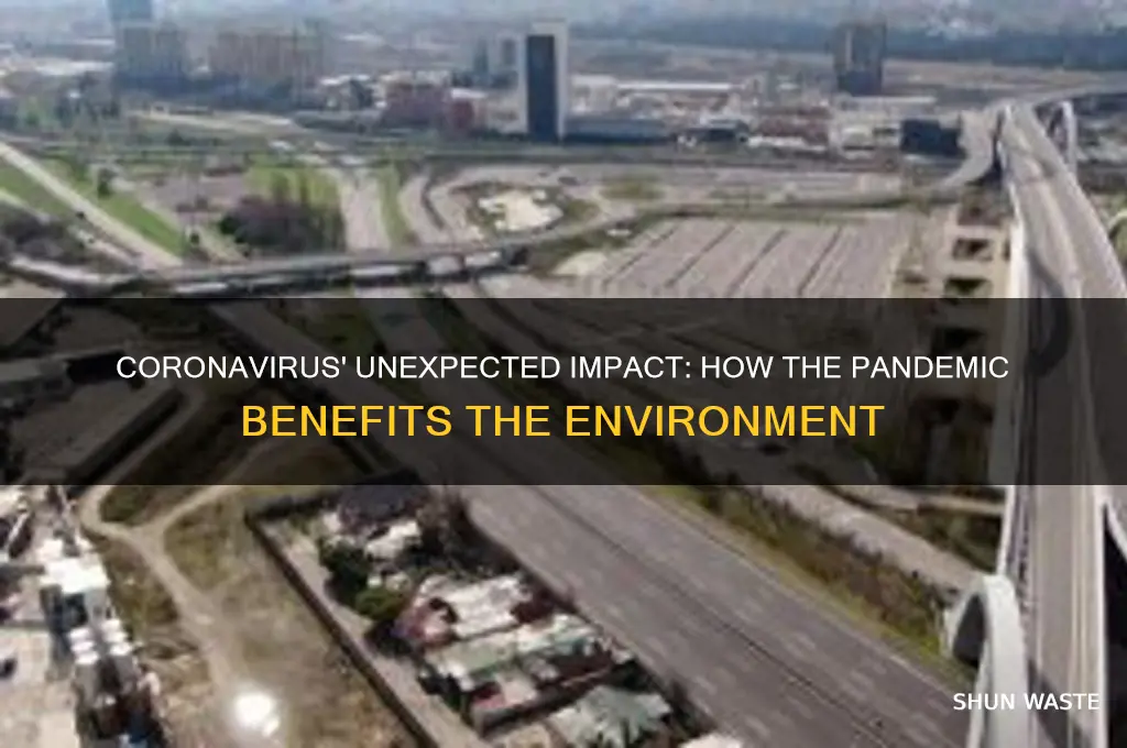 how does the coronavirus help the environment
