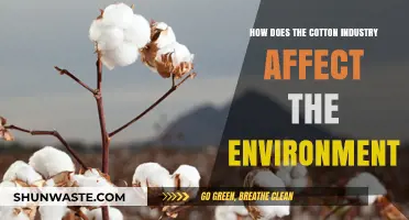 Cotton's Environmental Impact: Unraveling the Industry's Ecological Footprint