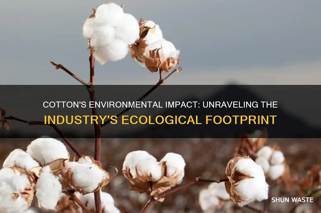 how does the cotton industry affect the environment