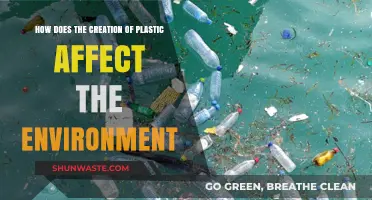 Plastic Production's Environmental Impact: Uncovering the Hidden Ecological Costs