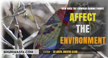 Crimson Shining Parrot's Ecological Impact: Environmental Role and Conservation Insights