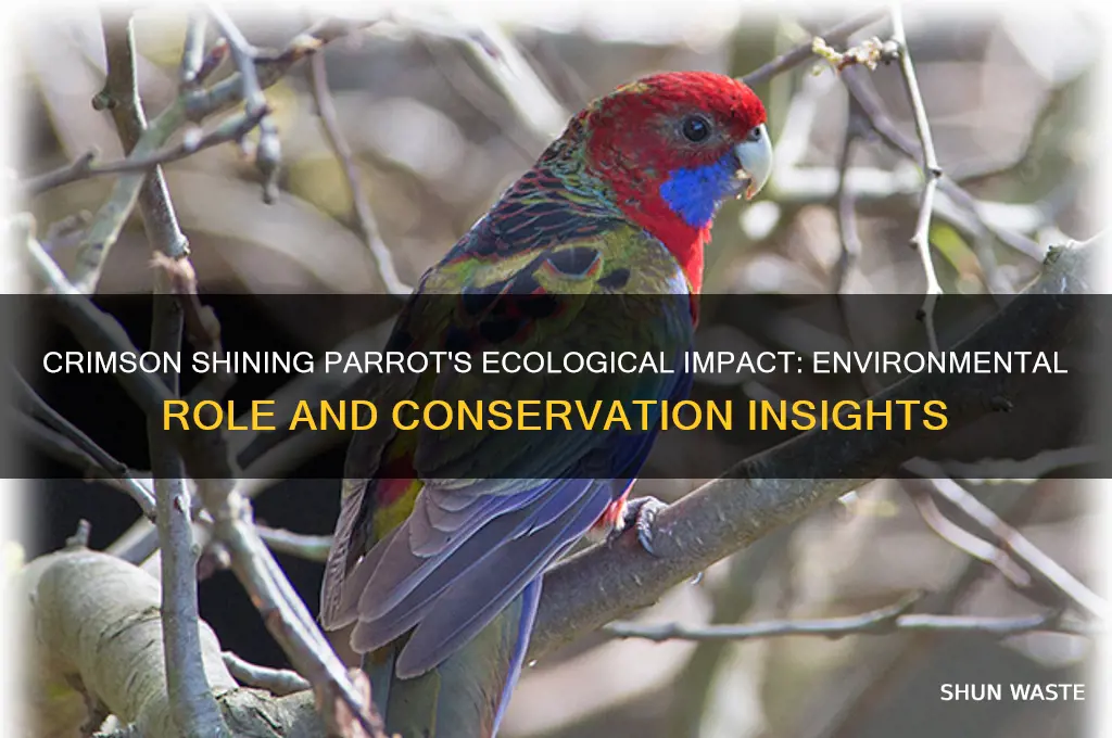 how does the crimson shining parrot affect the environment