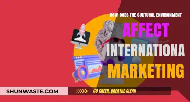 Cultural Influences: Shaping Global Marketing Strategies Across Diverse Markets