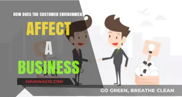 How Customer Environment Shapes Business Success and Strategies