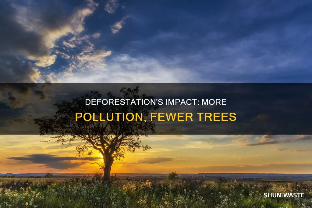 how does the cutting of trees increase the air pollution