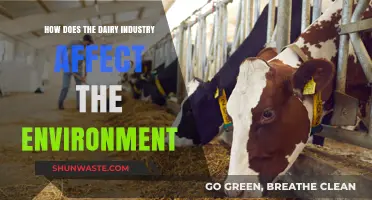 Dairy's Environmental Impact: Uncovering the Industry's Hidden Ecological Footprint