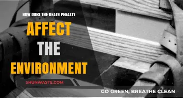 Death Penalty's Environmental Impact: Unseen Consequences of Capital Punishment