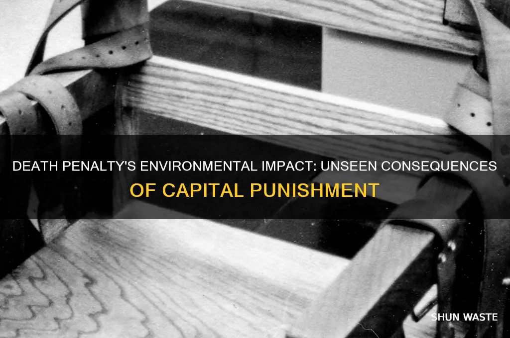 how does the death penalty affect the environment