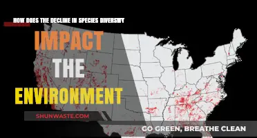 Declining Species Diversity: Environmental Consequences and Ecosystem Imbalance Explored