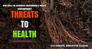 Degraded Environments: Amplifying Contemporary Health Threats and Global Risks