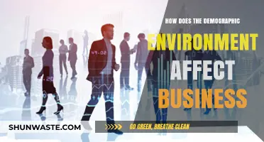 Demographic Shifts: How Population Trends Shape Business Strategies and Success
