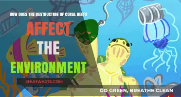Coral Reef Destruction: Devastating Impacts on Marine Ecosystems and Beyond